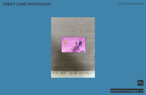 Argentinische Bank der Provinz Buenos Aires Visa-Karte Fotoansicht Beispielvorschau